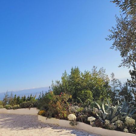 לובראן Apartments Chiara Mit Meerblick Und Pool Und Jacuzzi מראה חיצוני תמונה