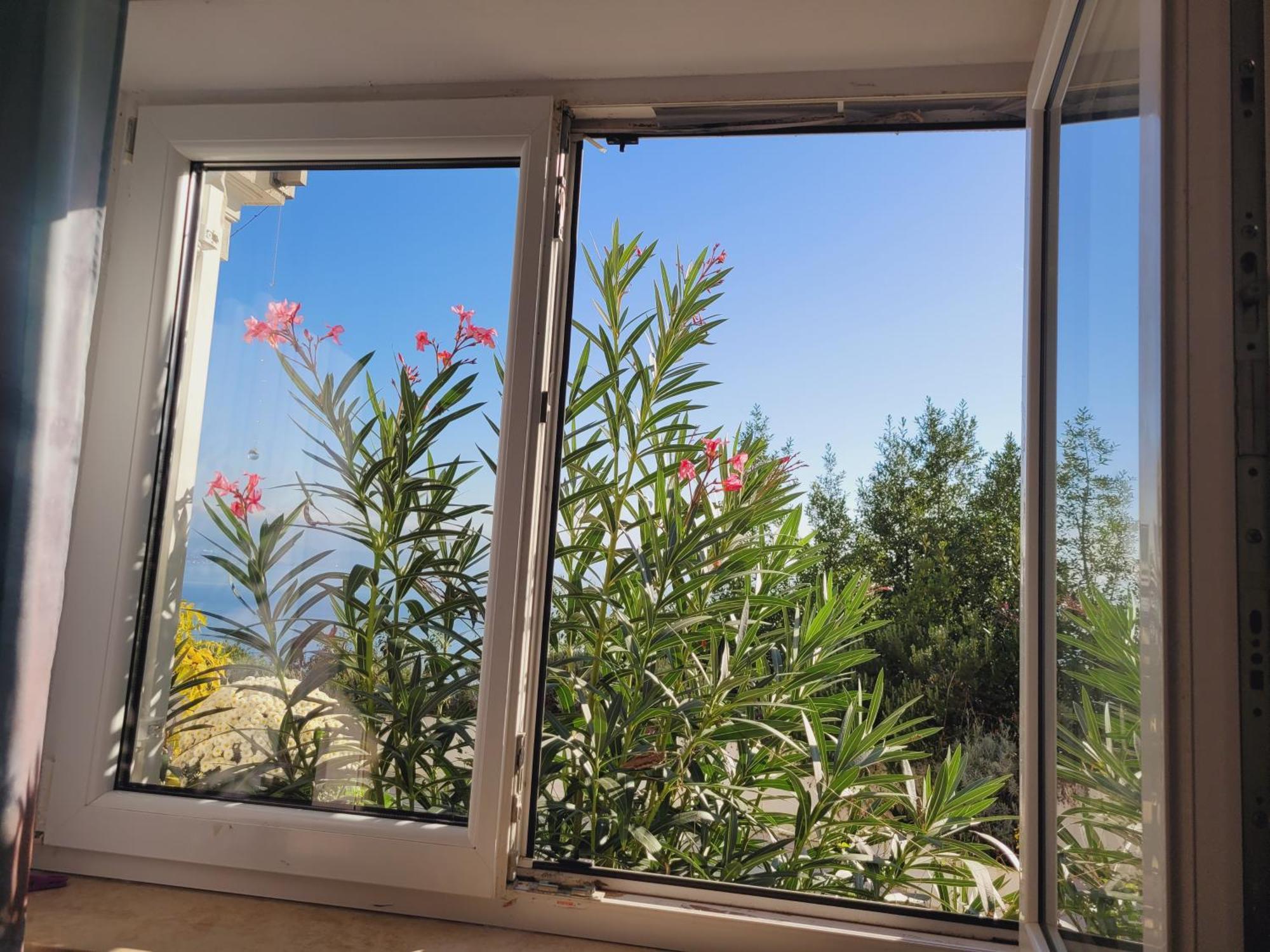 לובראן Apartments Chiara Mit Meerblick Und Pool Und Jacuzzi מראה חיצוני תמונה