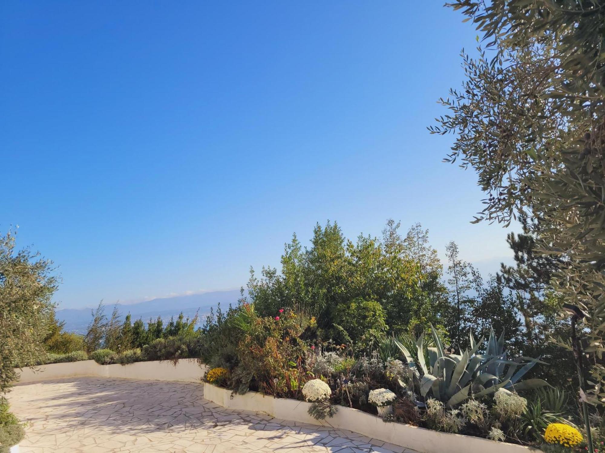 לובראן Apartments Chiara Mit Meerblick Und Pool Und Jacuzzi מראה חיצוני תמונה