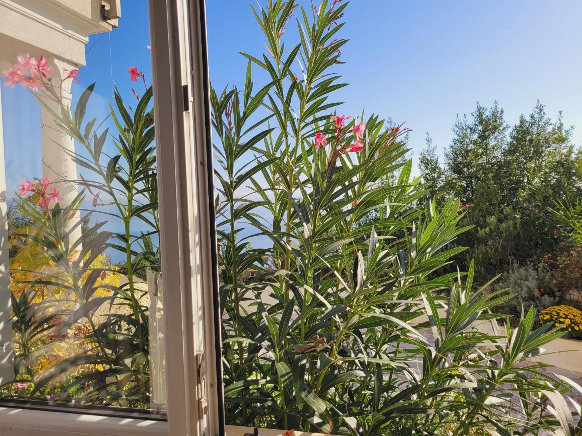 לובראן Apartments Chiara Mit Meerblick Und Pool Und Jacuzzi מראה חיצוני תמונה